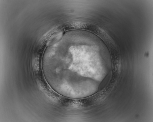 X0000116350696200912151351