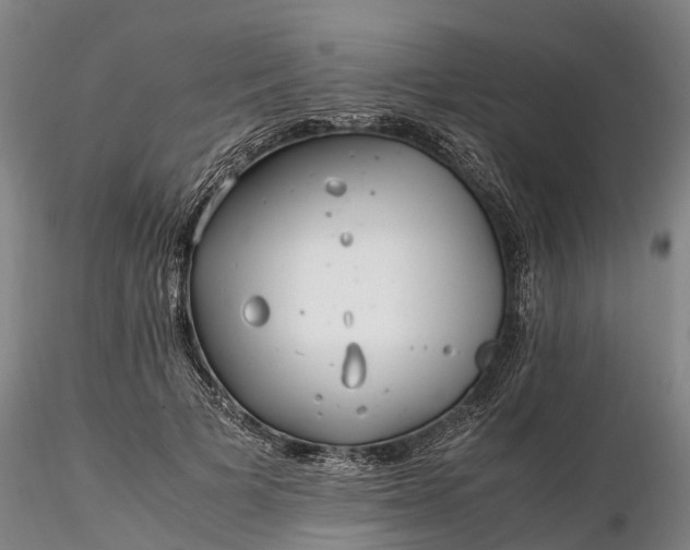 X0000116350697200912151351