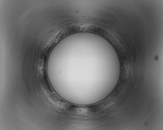 X0000116350698200912151351