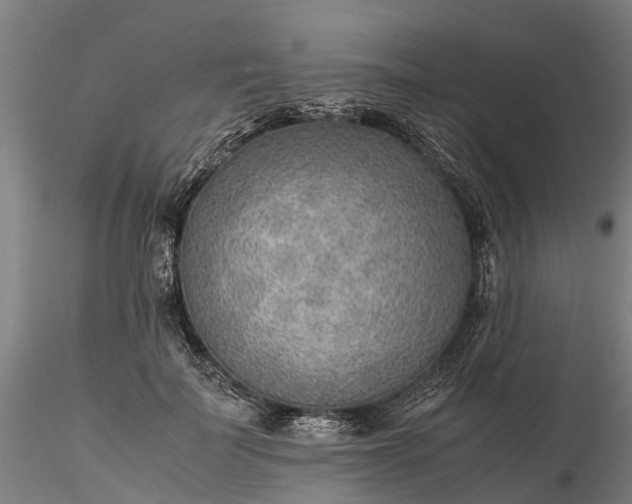 X0000116350699200912151351