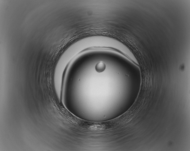 X0000116350700200912151351