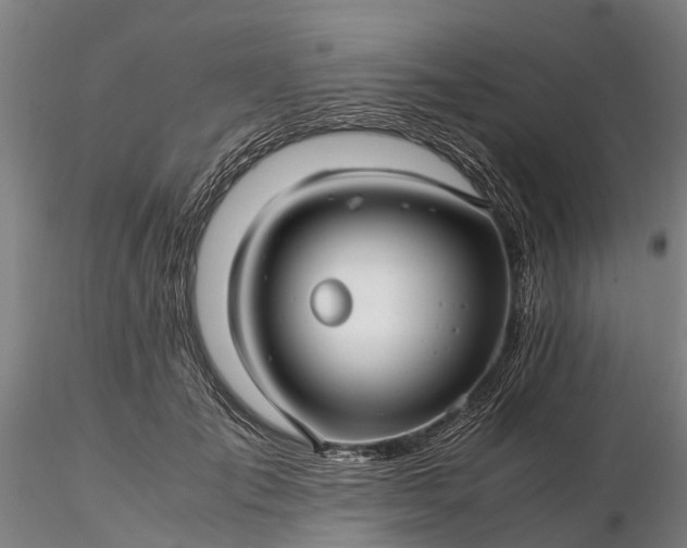 X0000116350701200912151351