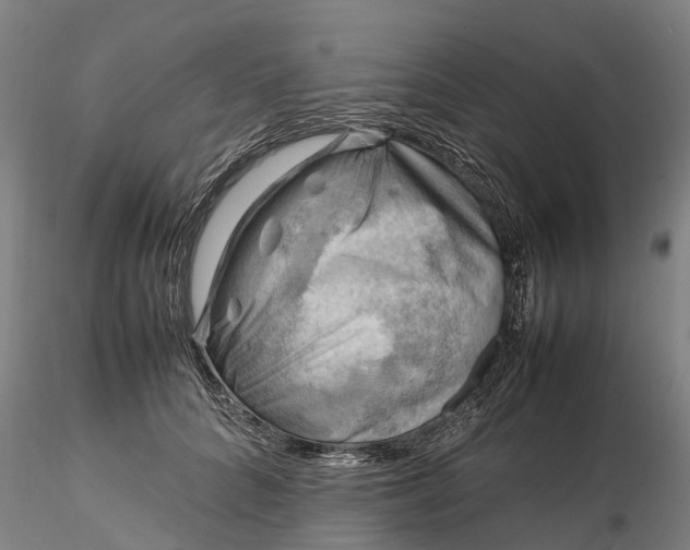 X0000116350704200912151351