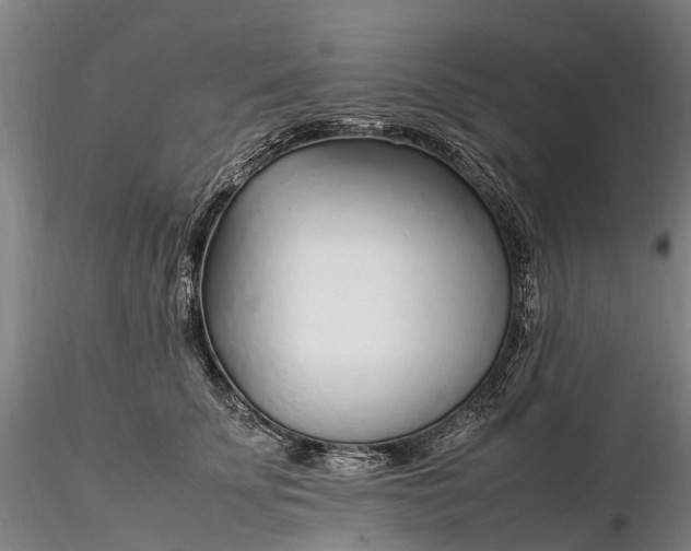 X0000116350707200912151351