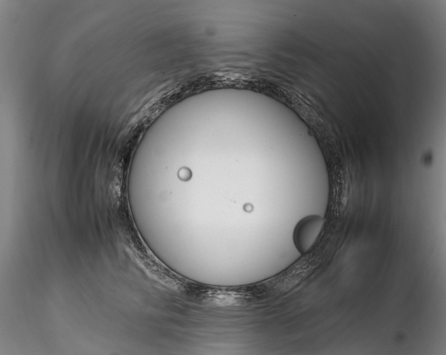 X0000116350710200912151351