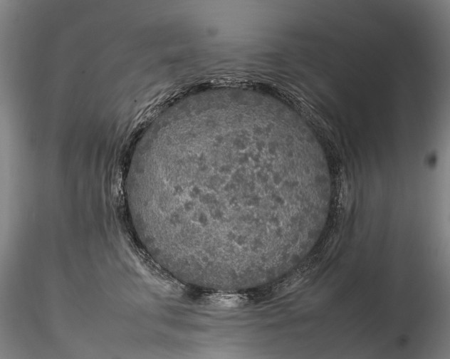 X0000116350711200912151351