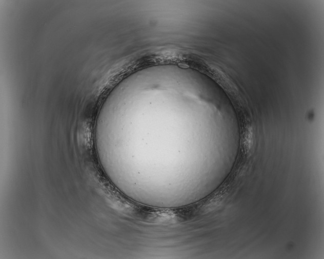 X0000116350715200912151351