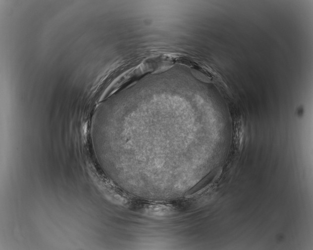 X0000116350716200912151351