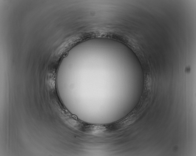 X0000116350719200912151351