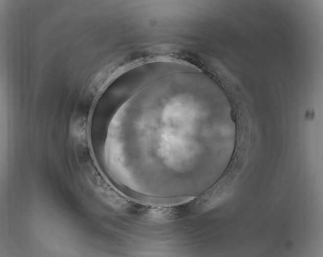 X0000116350720200912151351