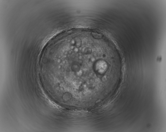 X0000116350721200912151350