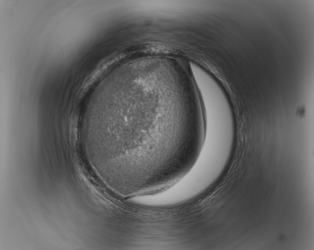 X0000116350722200912151350