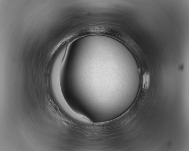 X0000116350723200912151350