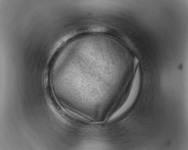 X0000116350726200912151350