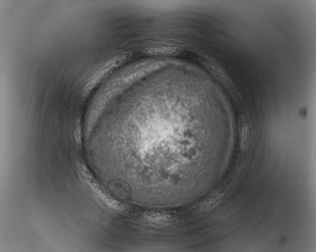 X0000116350729200912151350