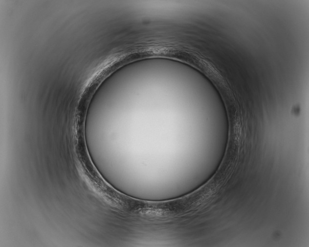 X0000116350730200912151350