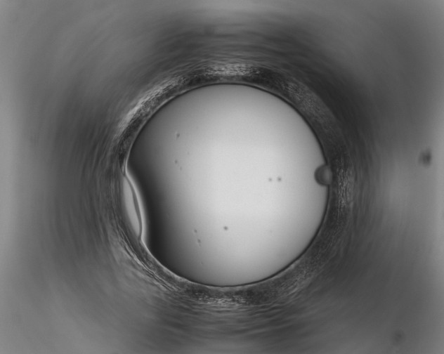 X0000116350731200912151350