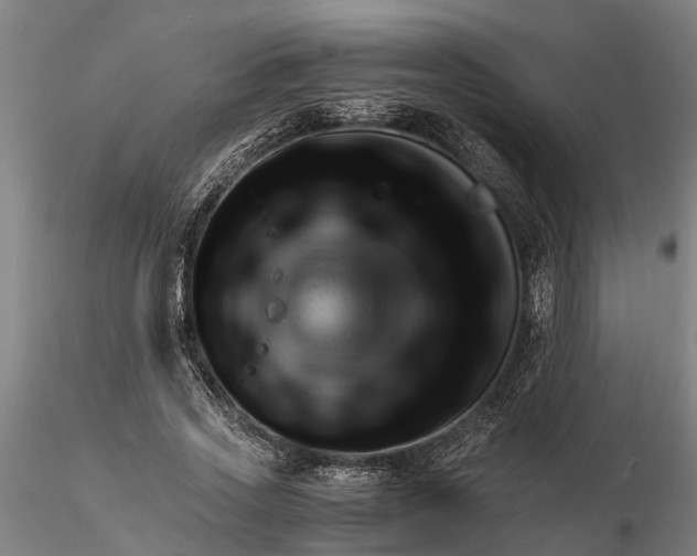 X0000116350733200912151350