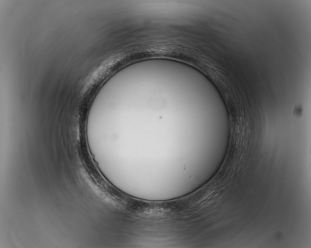 X0000116350734200912151350