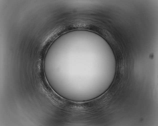 X0000116350735200912151350