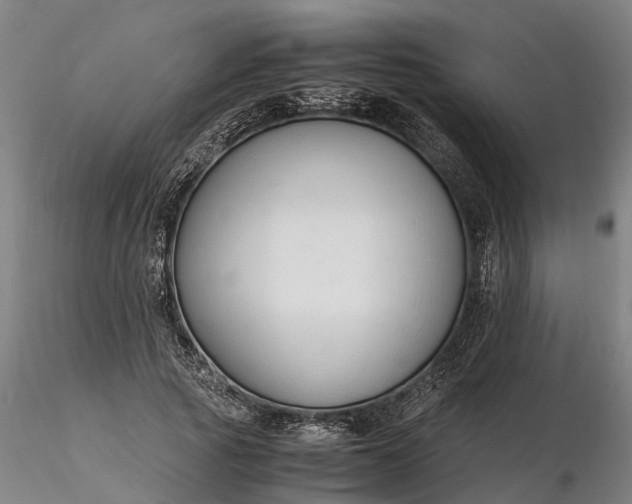 X0000116350737200912151350