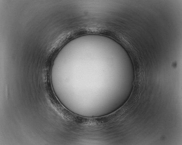 X0000116350738200912151350