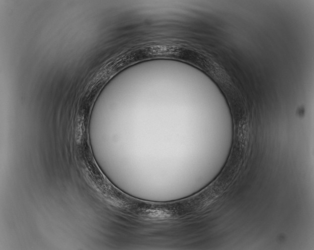 X0000116350741200912151351