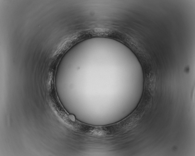 X0000116350742200912151351