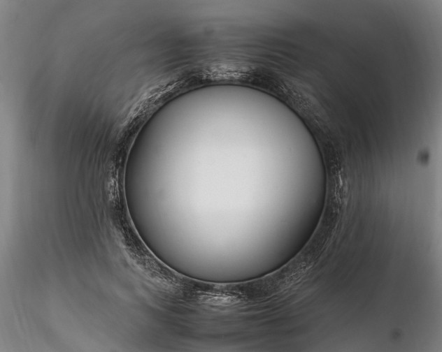 X0000116350743200912151351