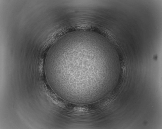 X0000116350745200912151351