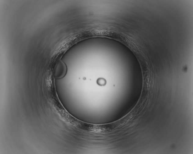 X0000116350746200912151351