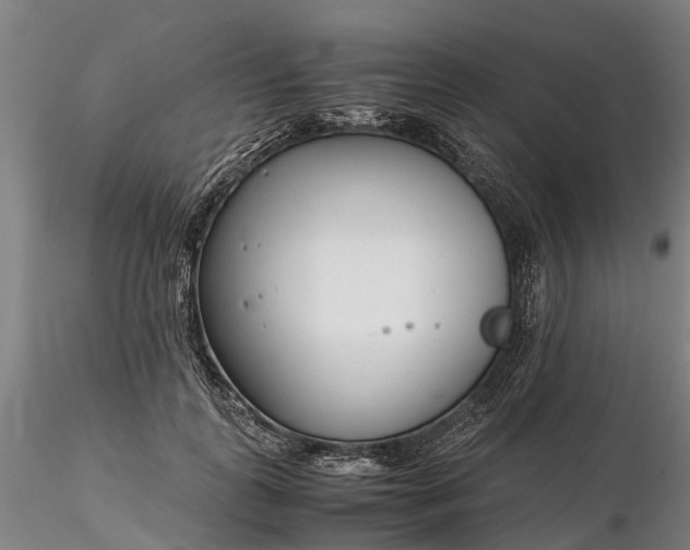 X0000116350747200912151351