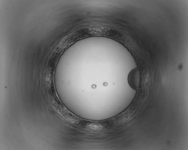 X0000116350749200912151351