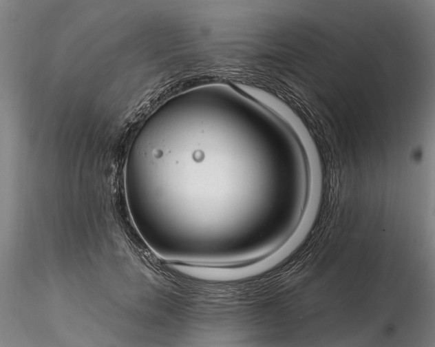 X0000116350750200912151351