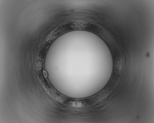 X0000116350751200912151351