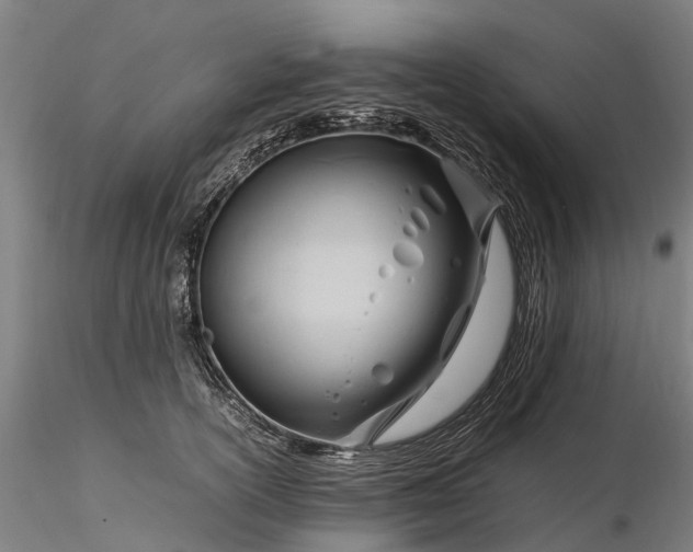 X0000116350754200912151351