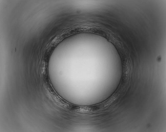 X0000116350758200912151351