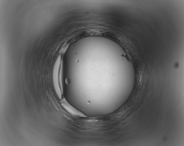 X0000116350759200912151351