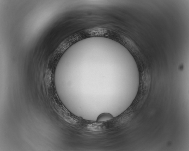 X0000116350761200912151351