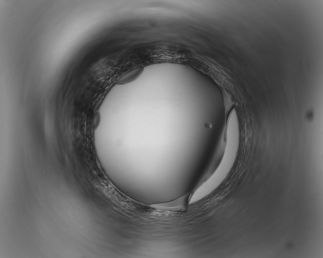 X0000116350762200912151351