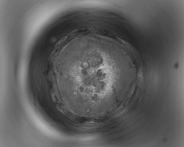 X0000116350765200912151351