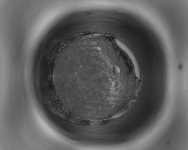 X0000116350766200912151351