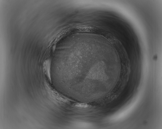 X0000116350767200912151351