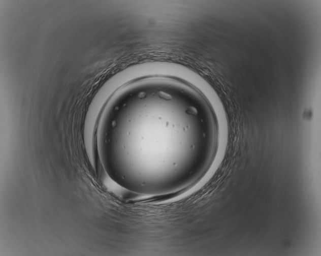 X0000116350769200912151350