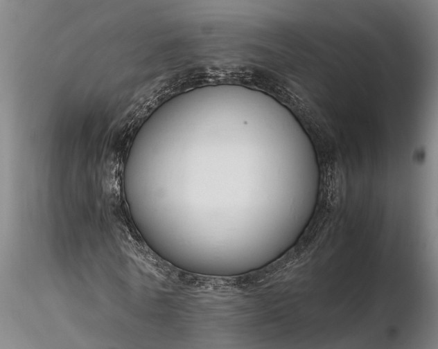 X0000116350770200912151350