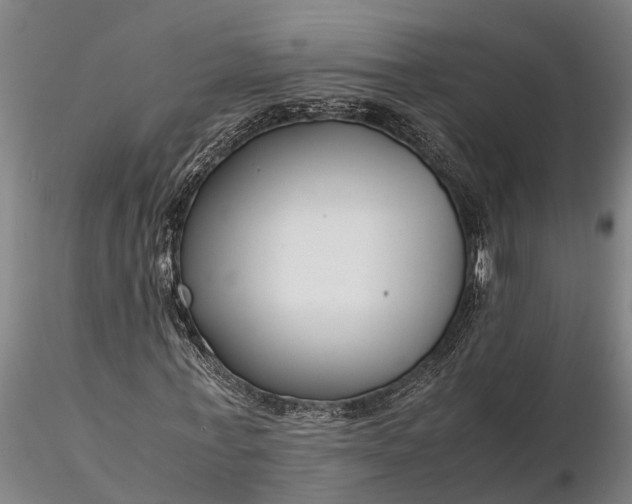 X0000116350771200912151350