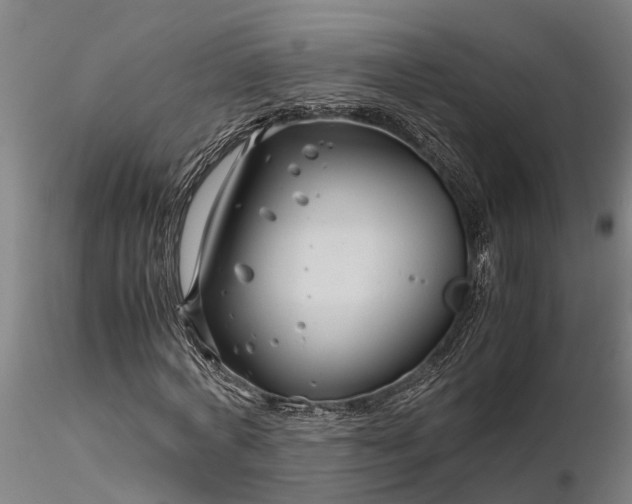 X0000116350772200912151350