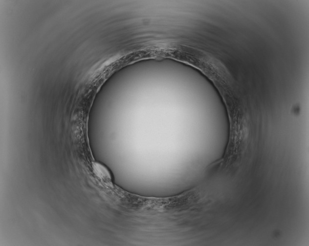 X0000116350773200912151350