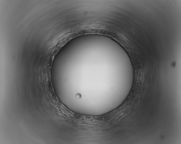 X0000116350774200912151350