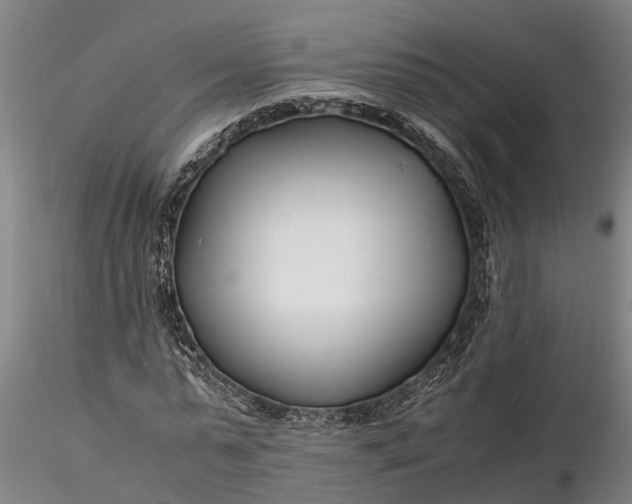 X0000116350775200912151350